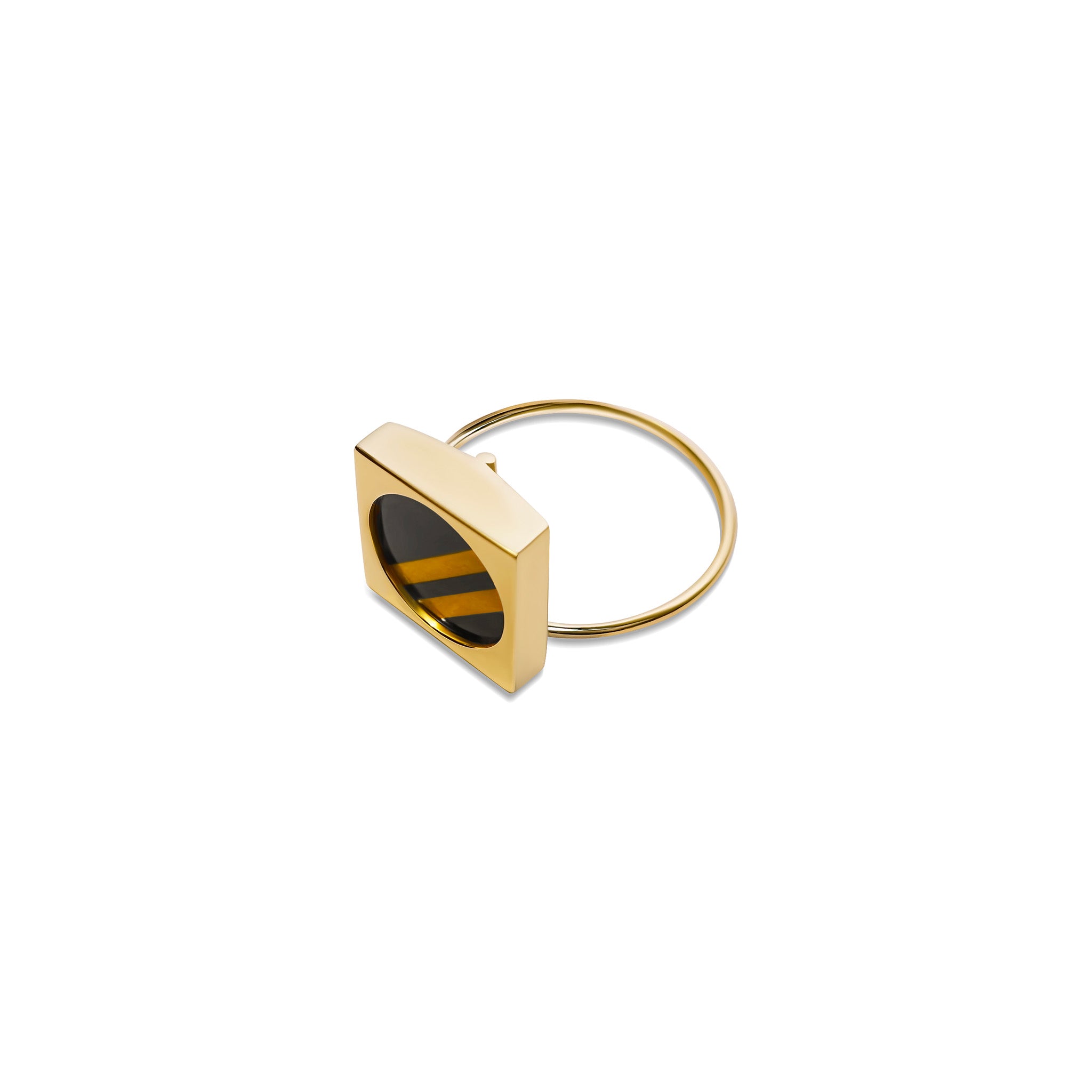 Cassini Rings Ring